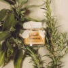 origano biologico siciliano origano di noto origano biologico siciliano origano di noto